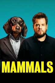 watch Mammals free online