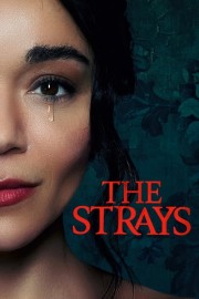 watch The Strays free online