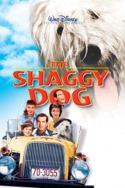 watch The Shaggy Dog free online