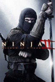 watch Ninja: Shadow of a Tear free online