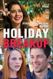 watch Holiday Breakup free online