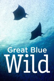 watch Great Blue Wild free online