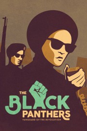 watch The Black Panthers: Vanguard of the Revolution free online