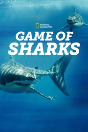 watch Game of Sharks free online