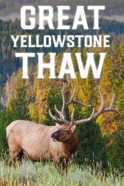 watch Great Yellowstone Thaw free online