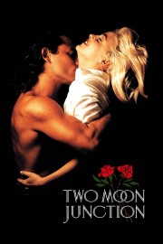 watch Two Moon Junction free online