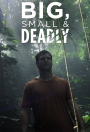 watch Big Small and Deadly free online