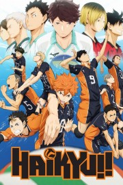 watch Haikyu!! free online