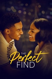 watch The Perfect Find free online