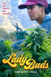 watch Lady Buds free online