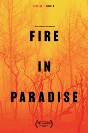 watch Fire in Paradise free online