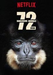 watch 72 Dangerous Animals: Asia free online