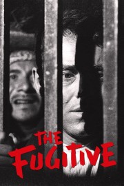 watch The Fugitive free online