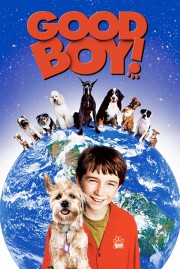 watch Good Boy! free online