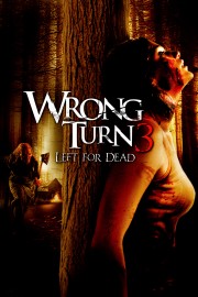 watch Wrong Turn 3: Left for Dead free online