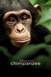 watch Chimpanzee free online