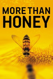 watch More Than Honey free online