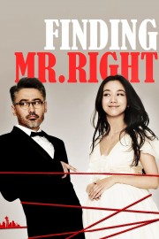 watch Finding Mr. Right free online