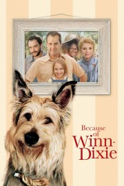 watch Because of Winn-Dixie free online