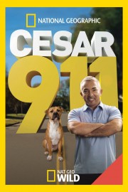 watch Cesar 911 free online