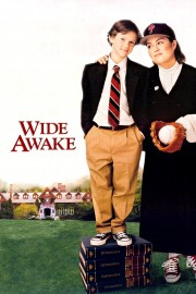 watch Wide Awake free online