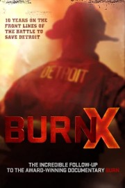 watch Detroit Burning free online