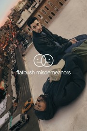 watch Flatbush Misdemeanors free online