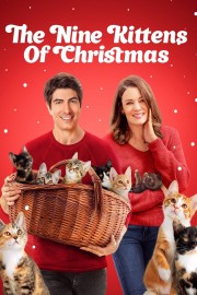 watch The Nine Kittens of Christmas free online