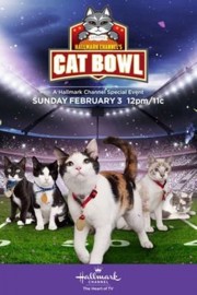 watch Hallmark Channel's 1st Annual Cat Bowl free online