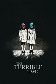 watch The Terrible Two free online