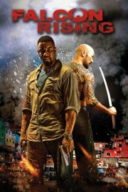 watch Falcon Rising free online