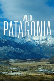 watch Patagonia: Earth's Secret Paradise free online