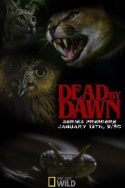 watch Dead By Dawn free online