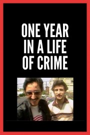 watch One Year in a Life of Crime free online