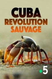 watch Cuba, révolution sauvage free online