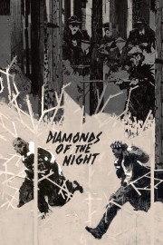 watch Diamonds of the Night free online