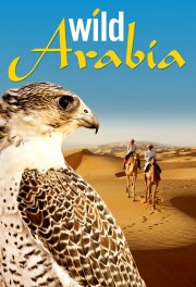 watch Wild Arabia free online