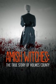 watch Amish Witches: The True Story of Holmes County free online