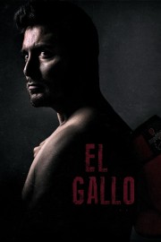 watch El Gallo free online