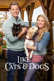 watch Like Cats & Dogs free online