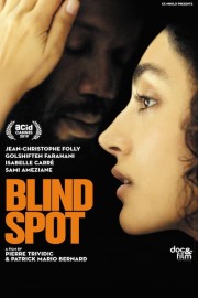 watch Blind Spot free online