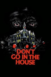 watch Don't Go in the House free online