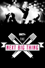 watch The Next Big Thing free online