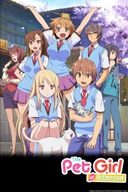 watch The Pet Girl of Sakurasou free online