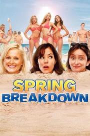 watch Spring Breakdown free online