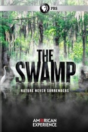 watch The Swamp free online