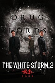 watch The White Storm 2: Drug Lords free online