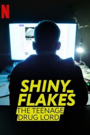 watch Shiny_Flakes: The Teenage Drug Lord free online