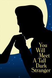 watch You Will Meet a Tall Dark Stranger free online