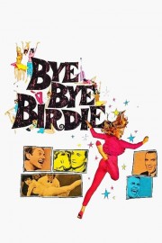 watch Bye Bye Birdie free online